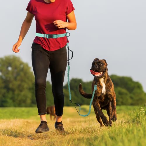 Hands Free Leash (Soild Teal / 7FT Hands Free)