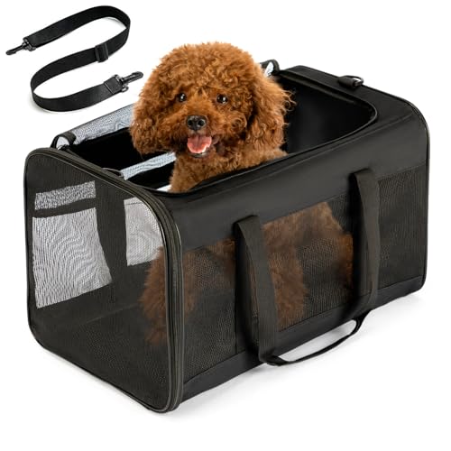 Dog Carrier Bag (20.0"L x 12.6"W x 1.4"H / Black)