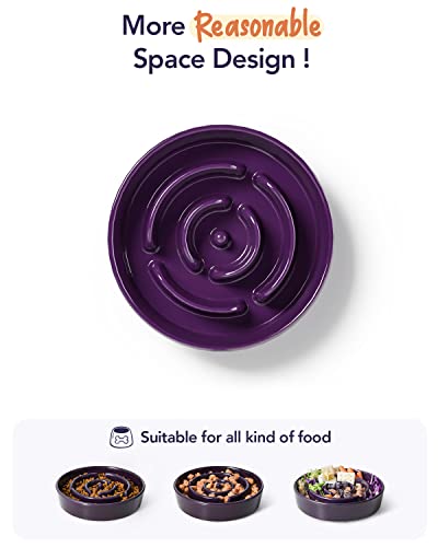 Ceramic Slow Feeder Dog Bowls Elevated (Maze Purple+Stand / L-3 Cups)