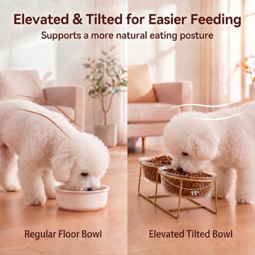 Elevated Dog Bowl Set of 2 (Large / glass×2)
