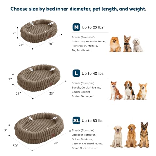 Orthopedic Dog Bed (Taupe / M(30*24*7))