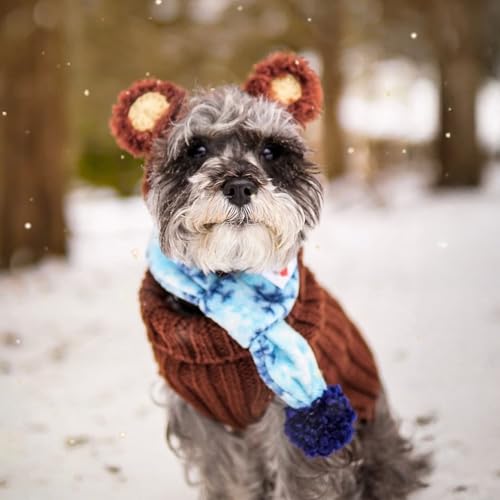 Fuzzy Bear Costume (Medium / Fuzzy Brown)
