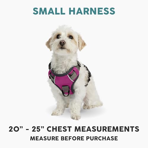 Embark No Pull Dog Harness (S / Pink)