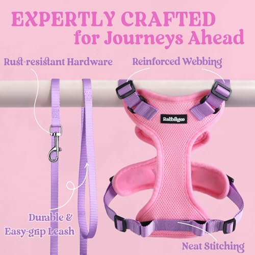 Cat Harness and Leash Set (Xxs / Pink & Light Purple)