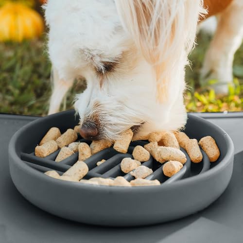 Slow Feeder Dog Bowl (Charcoal - Rainbow Design / Small (6” Across x 1.25” Tall))