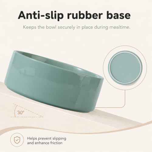 Ceramic Dog Bowls (Light Green)