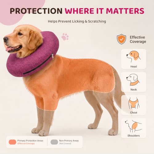 Inflatable Dog Cone (Rose / S(9"-10"))