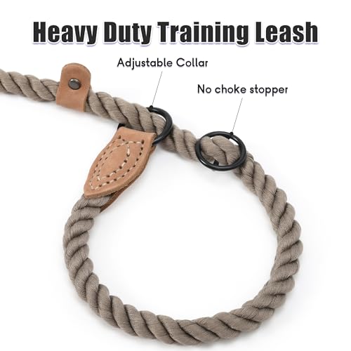 Heavy Duty Slip Lead No Pull Leash w Leather (Camel / 6 Feet)