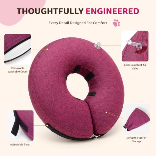 Inflatable Dog Cone (Rose / S(9"-10"))