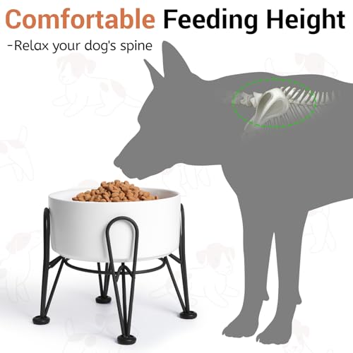 Elevated Dog Bowls (White / 3.6 Cups | 2 Pack | For Medium Dogs)
