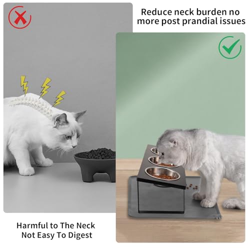 Upgraded Elevated Cat Bowls with Food Mat