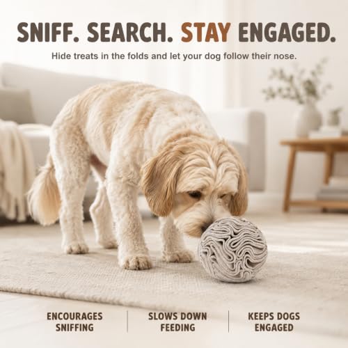 Light Brown Snuffle Ball for Dogs (Light Brown / Small)