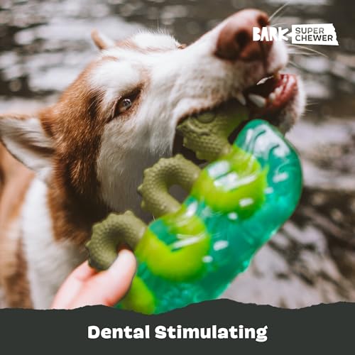 Dogness Monster Super Chewer (Medium/Large / Dog Ness Monster)