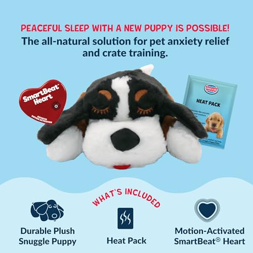 Snuggle Puppy Heartbeat Toy (Bernese / 1 Count (Pack of 1))
