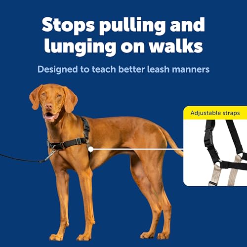 Easy Walk Harness (Medium / Black/Silver)