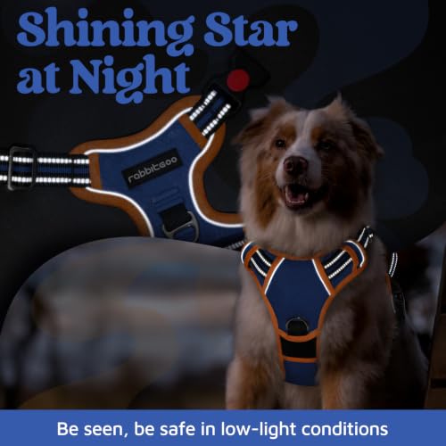 Dog Harness Small Sized (Royal Blue & Orange / Small)