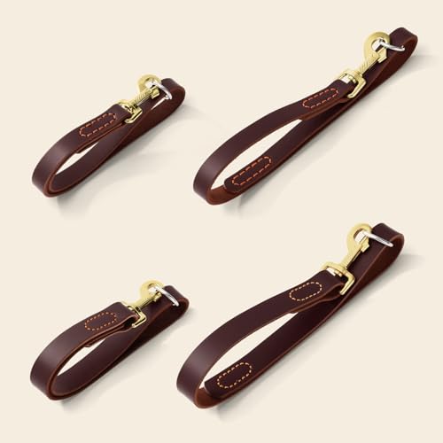 Leather Dog Leash (1.0 ft L x 1.0 in W)