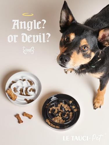Ceramic Slow Feeder Dog Bowls Small Breed (Angle White+Stand / S-0.6 Cups)