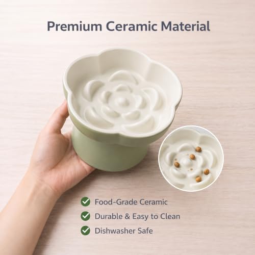 Ceramic Elevated Slow Feeder Cat Bowl (Green/Ivory)