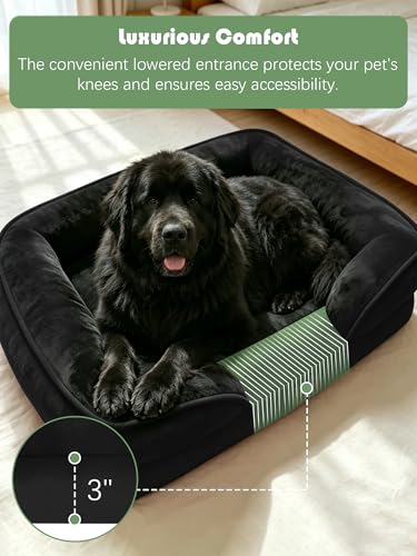 Orthopedic Dog Bed with Sides (53.0"L x 42.0"W x 8.0"Th / Black)