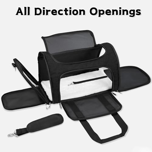 Soft Sided Cat (BLACK / 17"L x 11"W x 11"H)