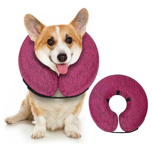 Inflatable Dog Cone (Rose / S(9"-10"))