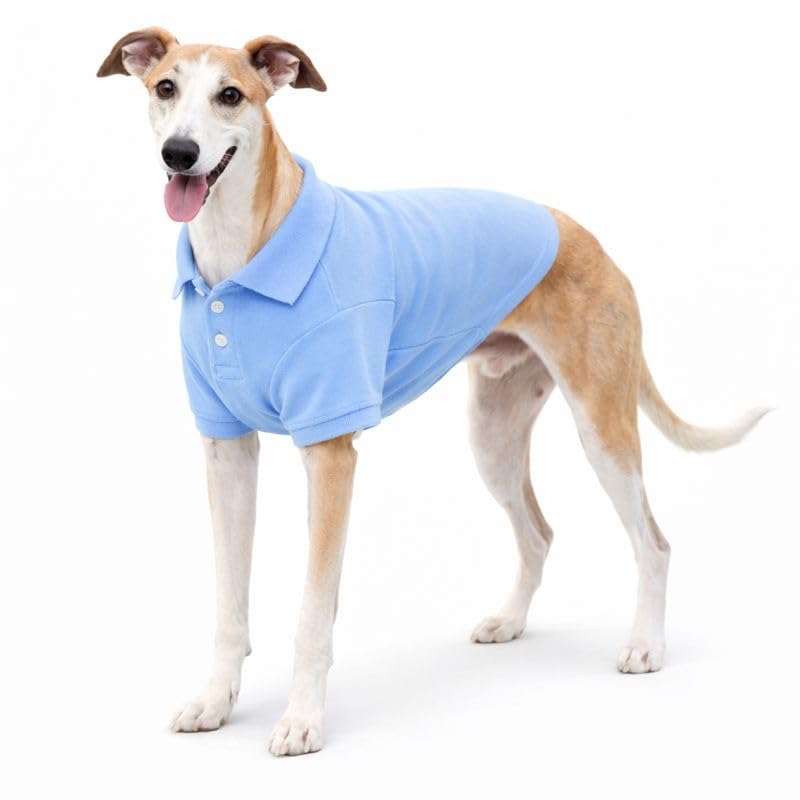 Basic Dog Polo Shirts Premium Cotton (XXL (-55lbs) / Sky-Blue)