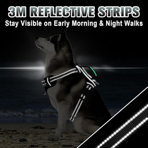 No Pull Dog Harness Large Reflective Dog Harness with Front Clip and Easy Control Handle for Walking Training Running with ID tag Pocket (Black / Large)