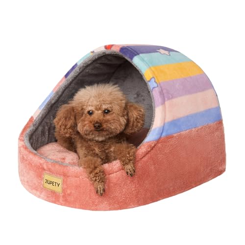 Cute Cat Beds for Indoor Cats (Large / Rainbow)