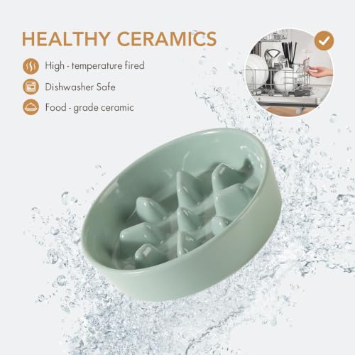 Elevated Slow Feeder Dog Bowls (Light Green)