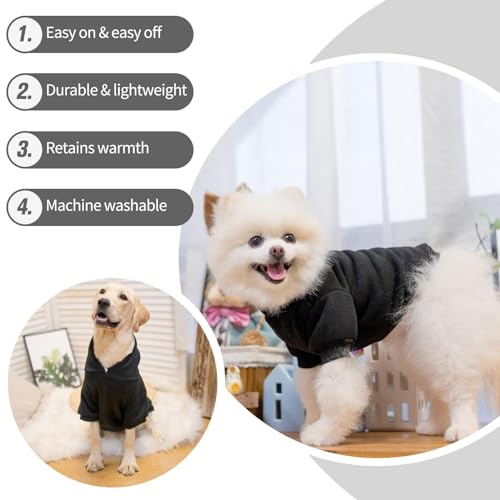 Dog Hoodie for Small Dogs (#2 Black(Plain) / X-Small (All Breed Sizes))