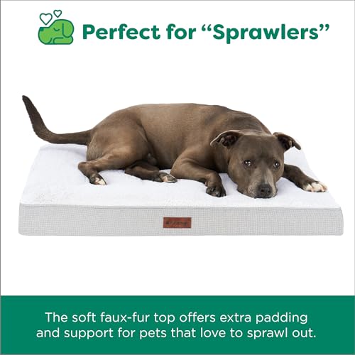 Orthopedic Dog Bed (Large / Light Gray)