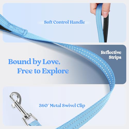 Dog Harness Small Sized and Leash Set (Blue / S (chest: 15.1 - 16.5"))
