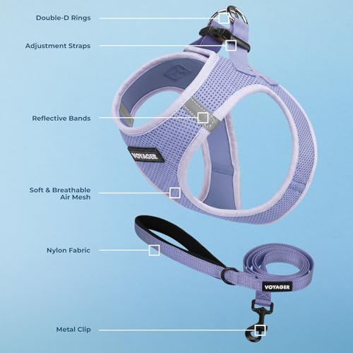 Voyager Step in Air All Weather Mesh Harness and Reflective Dog 5ft Leash Combo with Neoprene Handle (Lavender / XXXS (Chest: 11 - 12"))
