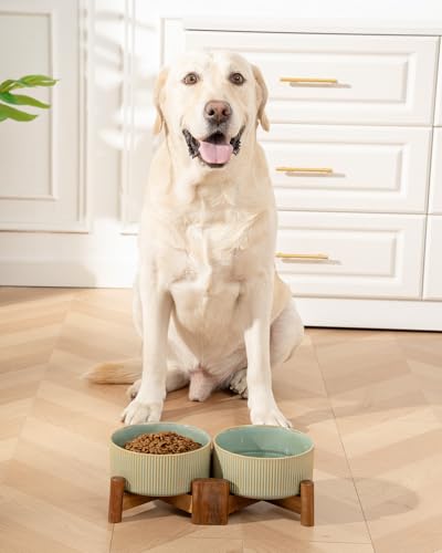 Ceramic Dog Bowls Set with Acacia Wood Stand (Large-3.5Cups / Vintage Grey)