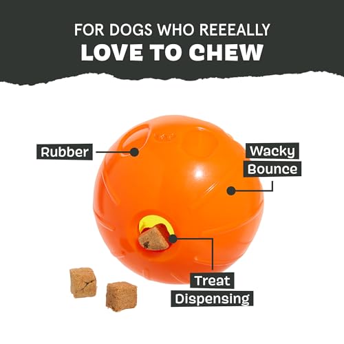 Pumpkin Prodigy Dog Toy (Medium / Pumpkin Prodigy)