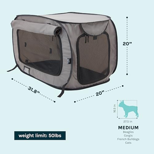 Large Pop Open Kennel (Tan)