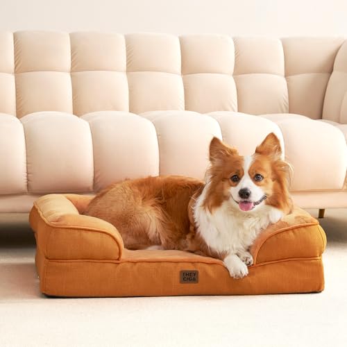 Orthopedic XXL Dog Bed (Pumpkin Orange / 48.0"l X 35.0"w X 8.0"th)