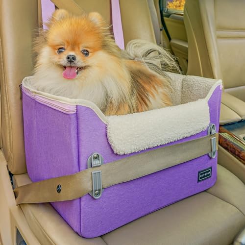 Small Dog Car Seat