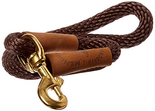 Traffic Leash (1/2 in x 16 in / Brown)