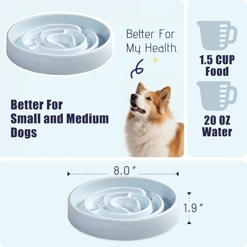 Ceramic Slow Feeder Dog Bowl (Blue)