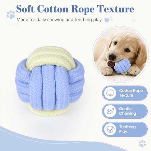 Dog Rope Toys for Puppies & Small Dogs (Blue)