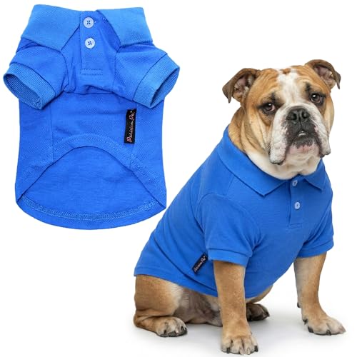 Dog Polo Shirt (3XL / Blue Polo)
