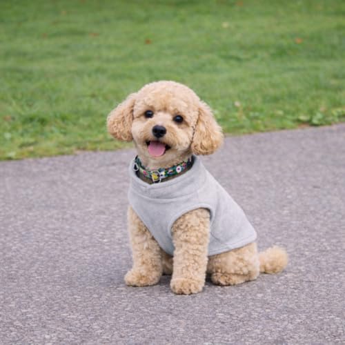 Dog Fleece Vest Sweater with Leash Ring (XS (2-4lbs) / Grey)