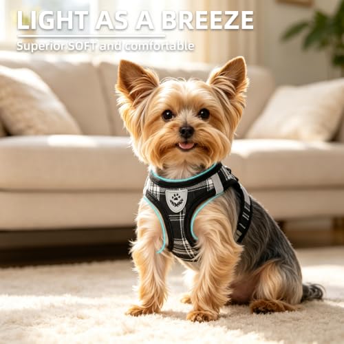 Dog Harness Collar and Leash Set No Pull for Small Medium Sized (Black / XXS (CHEST 11.5"-13"))