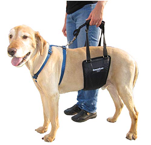 K9 Sling Hind Leg Support (Medium-Large - Unisex)
