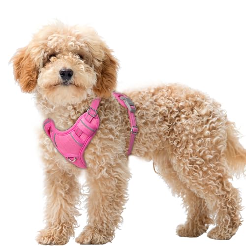 Dog Harness for Small Sized Dog No Pull Dog Vest ID Tag Pocket (Pink / X-Small)