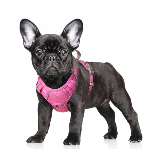 Dog Harness for Small Sized Dog No Pull Dog Vest ID Tag Pocket (Pink / Small)