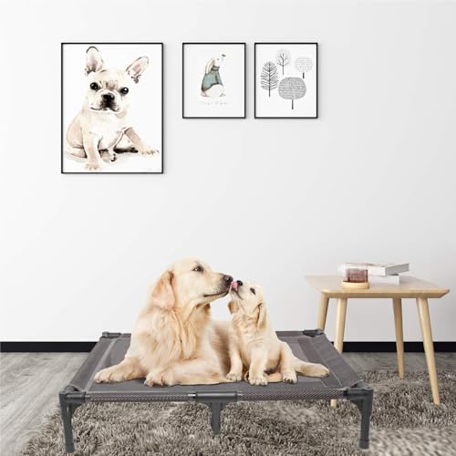 Elevated Dog Bed Waterproof Outdoor (L (36"L x 30"W x 7"H) / Grey)