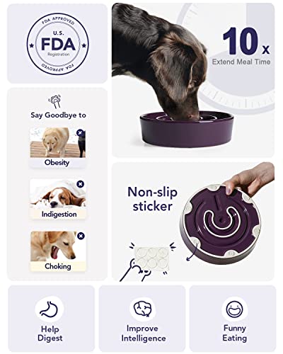 Slow Feeder Dog Bowls Ceramic (Maze Purple / L-3 Cups)